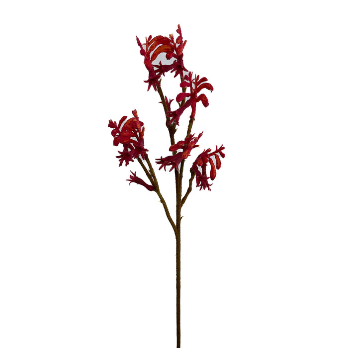 Artificial Kangaroo Paws Red