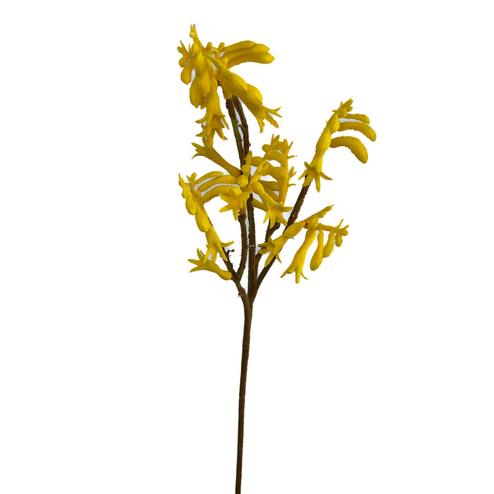 Artificial Kangaroo Paws Yellow
