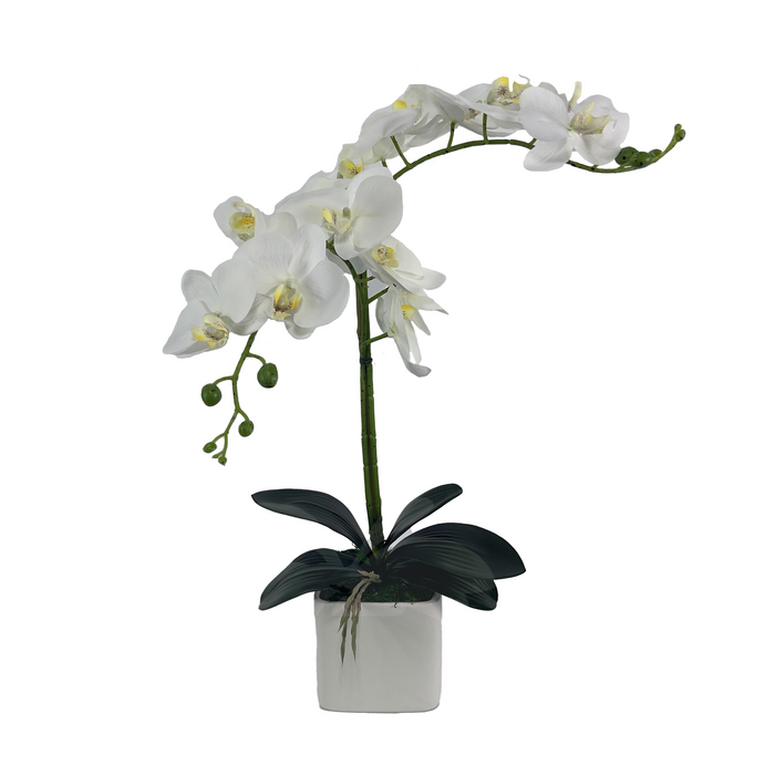 Artificial DIY Phalaenopsis Orchid Kit White